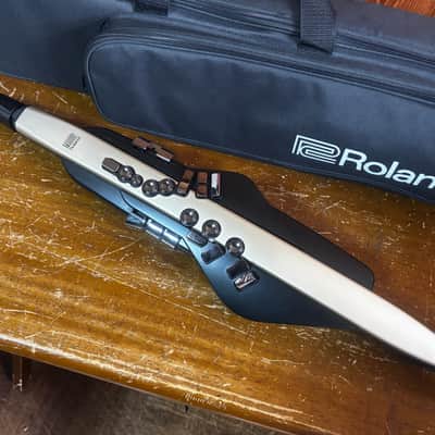 Roland Aerophone AE-20 Digital Wind Instrument image 2