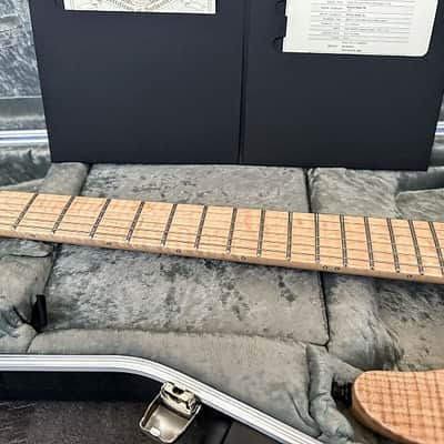 Mayones Regius 6 Custom - 5a Flame Top - 2024 - As new! image 10