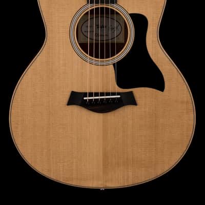Taylor GS Mini Sapele #36193 image 1