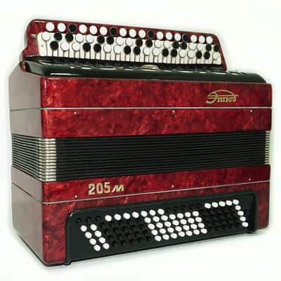 Tulskiy Russian Bayan Etude 205M Button Accordion 100 bass Acordeone de Botones, with Straps and Hard Case, 2437, Vintage Tula Factory Musical Instrument image 4