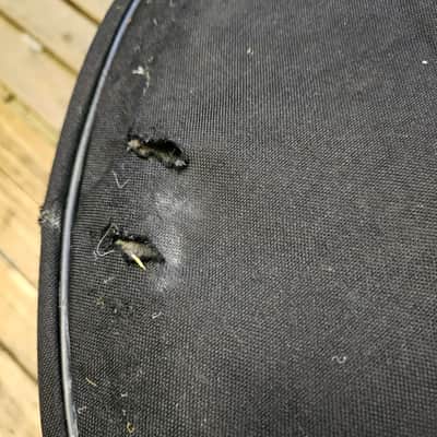 Drum Kit Pearl Export EX, Black Complete USED! RKEXP140326 image 9