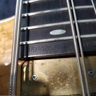 Alembic  Distallate 5 Bass - 1987 Natural - Birds Eye Maple - image 8
