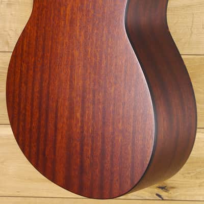 Eastman ACTG1 #M2308419 image 8