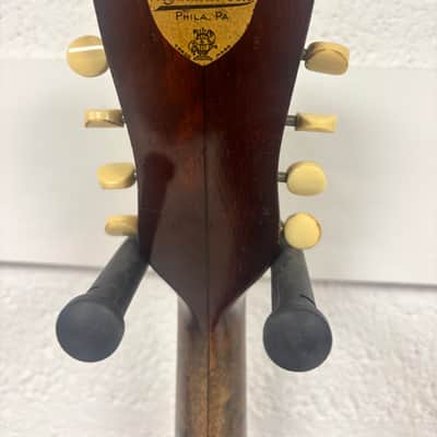Weymann mandolin (mandolute) style 30 app. 1913 image 6