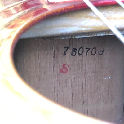 Ibanez E-684 Concord Hummingbird 1976 - Cherry image 7