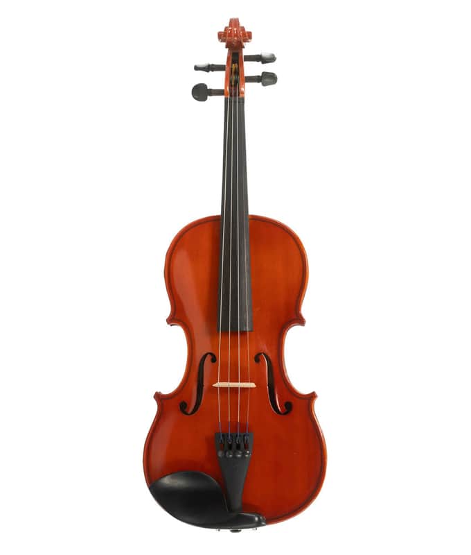 Fiori VIOLIN0009