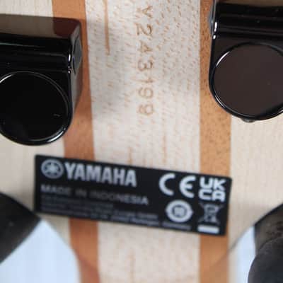 Yamaha TRBX304 4 String Electric Bass Guitar Active Electronics Mist Green image 13