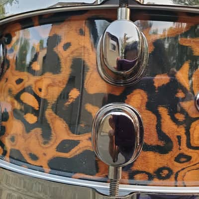 Mapex Orion 2008 - Chocolate Burl image 7