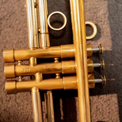 Van Laar OIRAM II 2013 - Raw Brass image 4