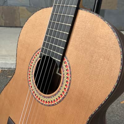 Manuel Rodriguez Model FC India with Hardcase image 8