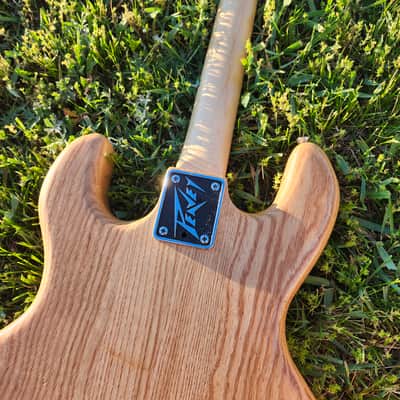 Peavey T-60 1979 image 14
