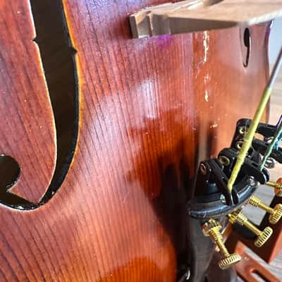 Intermediate 4/4 Violin: Strumenti a Corde 6400 Style B 2019 - Oil varnish image 12