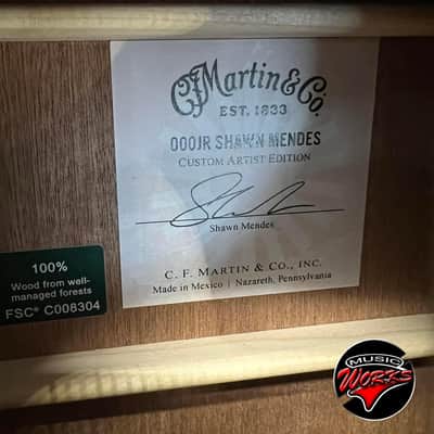 Martin   000 Jr Shawn Mendes image 7