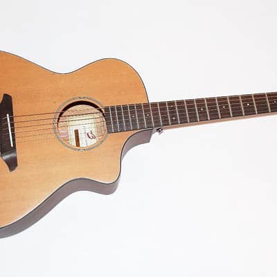 Breedlove Passport C250/CMe Acoustic-Electric Guitar image 1