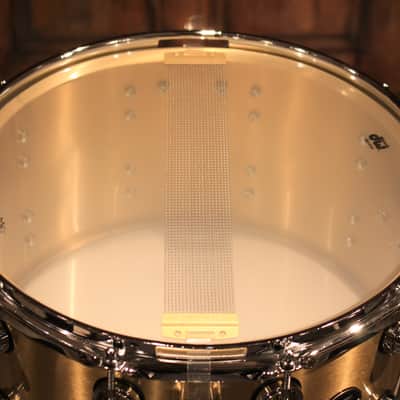 DW Performance Series 8X14 Thin Brass Snare Drum - New! image 6