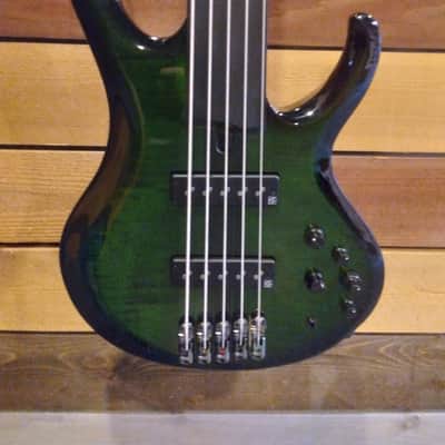 Ibanez - SDGB1 | Steve Di Giorgio Signature Series 5 String Bass / Dark Moss Burst image 2