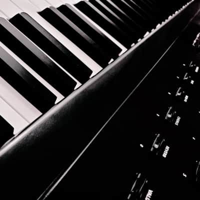 MUST SEE!!! WILLIAMS ALLEGRO III DIGITAL PIANO WITH 88-KEY WEIGHTED KEYBED IN AMAZING CONDITION! image 20
