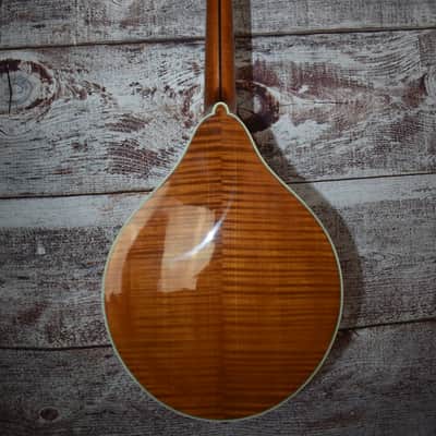 2022 Bourgeois Mandolin Model A image 9