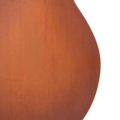Gold Tone F-10 Mastertone Solid Spruce Top Maple Neck 10-String F-Style Mandolin w/Hard Foam Case image 11