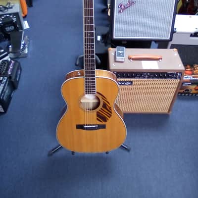 Fender Paramount PO 220 E ac/elec guitar image 1