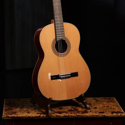 Ortega R200SN Traditional Series Cedar Top Mahogany Neck Nylon 6-String Classical Acoustic Guitar w/Gig Bag image 11