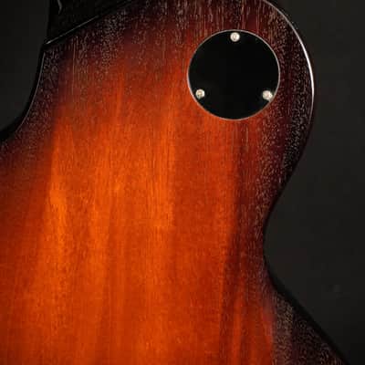 Collings 360 Solidbody Custom Mini Humbucker 2014 - Tobacco Burst Doghair image 9