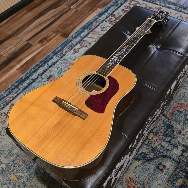 1995 Washburn D95LTD Limited Edition Dreadnaught w/Hard Case image 1