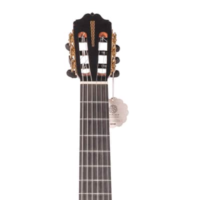 Manuel Adalid Homenaje - Cedar Double top/Solid Ziricoté back/sides - Handmade in Spain - 2025 image 7