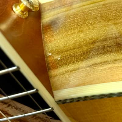 Taylor Liberty Tree LTG Grand Concert Acoustic with Case - Pre Owned image 14