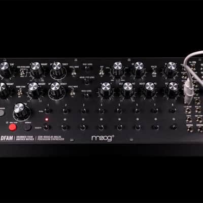 Moog Music DFAM (Drummer From Another Mother) image 4