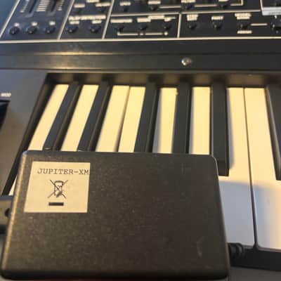 Roland Jupiter-Xm 37-Key Synthesizer 2019 - Present - Black image 5