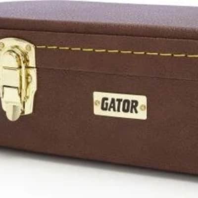Gator Semi-Hollow Guitar Deluxe Wooden Case image 5