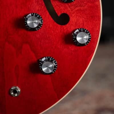 Gibson ES-335 60s Semi-Hollow Electric Guitar with Hard Shell Case - Sixties Cherry image 10