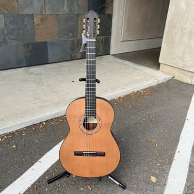 Manuel Rodriguez Model FC India with Hardcase image 2