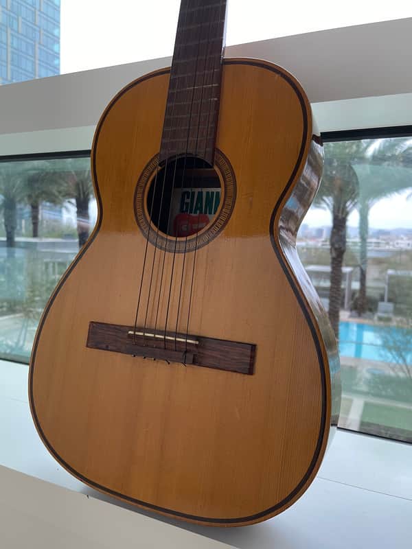 Giannini GN50 Early 1970s - Brazilian Mahogany & Rosewood Varnish image 1