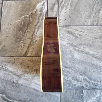 ARIA 6810 image 7
