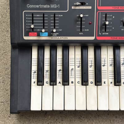 Moog Realistic Concertmate MG-1 1981 - Black image 3