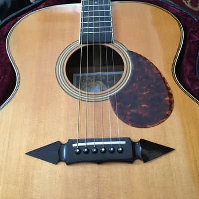 Greven Prairie State Acoustic Guitar "Prototype" Built For Stephan Grossman image 2