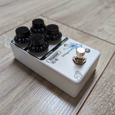 Drunk Beaver Trainer (Traynor TS-15 preamp in a box) image 2