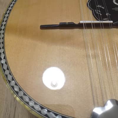 Greek Bouzouki & Hardcase & pickup & tuner & 300 MP3 backing track with pdf scores 8string image 3