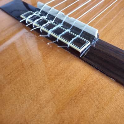 2017 Washburn C80S Madrid. Solid Cedar Top & Rosewood. image 6