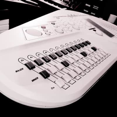 CERTIFIED!!! SUZUKI OMNICHORD OM300 INSPECTED/SERVICED AND IN AMAZING CONDITION! image 20