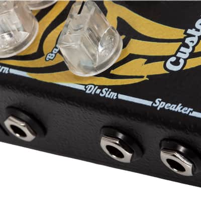 Baroni Lab Miniamp MA100 (100W RMS Stompbox sized Amp) image 3