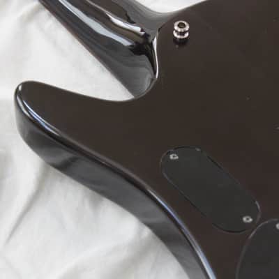 Spector Professional Series Rex Brown 5 Signature 5 String Electric Bass Transparent Black Quilt image 17