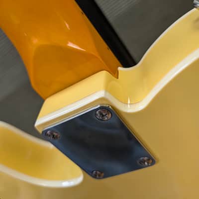 Vintage Joe Doe Gambler 2023 - Nicotine Butterscotch image 18