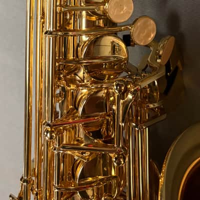 New Buffet Crampon Alto Saxophone Model: BCA-S Prodige image 2