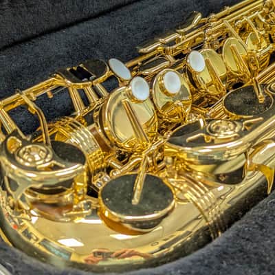 Alpine Woodwinds AAS143 2010's Alto Saxophone with Case - Gold image 6