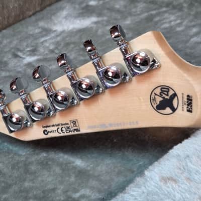 ESP LTD Alexi Laiho Sawtooth SE 20th Anniversary 2026 - black with white stripes image 11