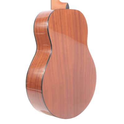 Gold Tone TG-18/L Solid Spruce Top Mahogany Neck 4-String Acoustic Tenor Guitar w/Vintage Design & Gig Bag For Left Handed Players image 9