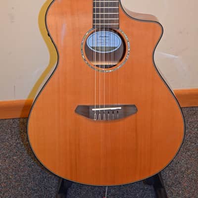 Breedlove Pursuit Nylon Electric image 2